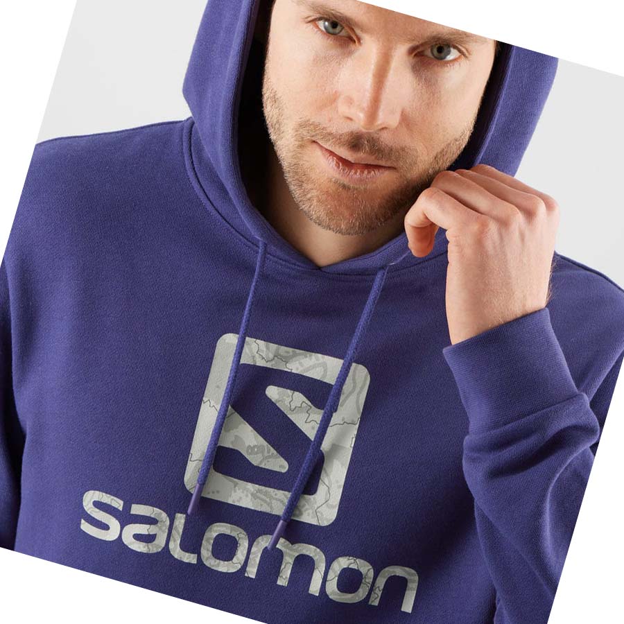 Salomon OUTLIFE LOGO SUMMER Kapucnis Pulóver Férfi Lila | HU 2405AHK